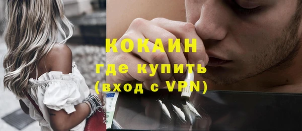 шишки Алексин