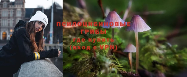 дмт Алексеевка