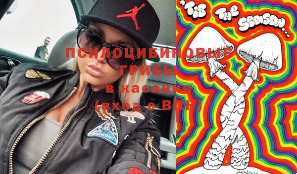 шишки Алексин