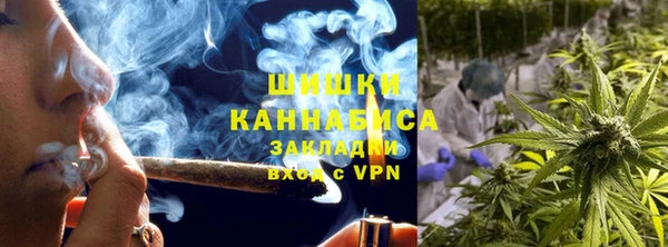 шишки Алексин