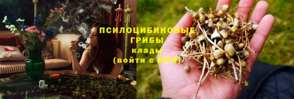мет Нея