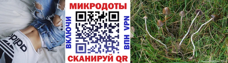 Галлюциногенные грибы мицелий  Уссурийск 