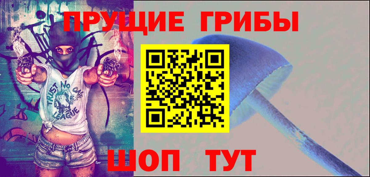 Псилоцибиновые грибы Cubensis Уссурийск